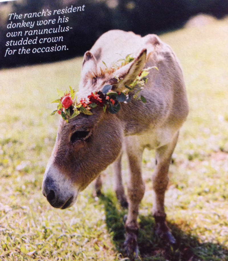 Illustration for article titled 5 Insane Things From Martha Stewart Weddings Magazine, Spring 2015